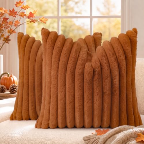 Fall Faux Fur Throw Pillow Covers 22x22 Set of 2 Light Rust (Light Rust / 22" x 22" (Pack of 2))
