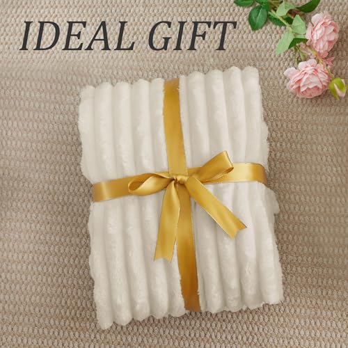 Ribbed Twin Blanket for Couch & Bed (Beige / Twin(60"x80"))