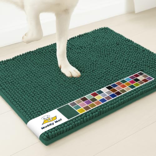 Super Water Absorbent Door Mat Indoor (Dark Green / 19" x 30")