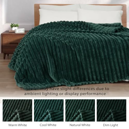 Striped Fleece Throw Blanket for Couch (Forest Green / Throw ( 50x60 IN ))