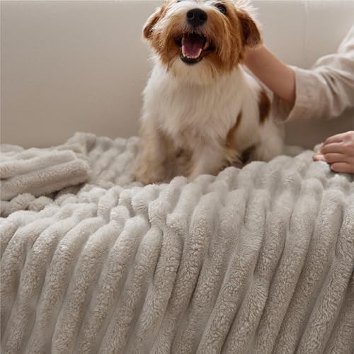 Soft Twin XL Blanket for Bed Dorm Beige 66"x90" (Beige / Twin XL)