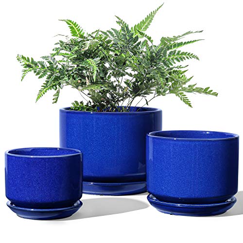 Ceramic Pots for Plants (Sapphire Blue / 4.3"+5.3"+6.8")