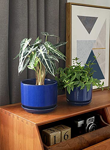 Ceramic Pots for Plants (Sapphire Blue / 4.3"+5.3"+6.8")