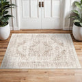 2x3 Washable Area Rug for Entryway (Ivory/Beige / 2x3)