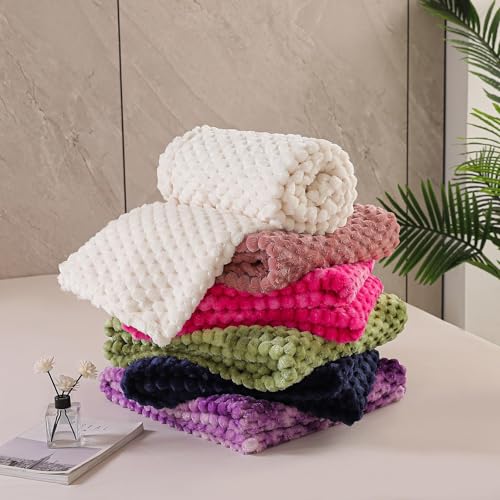 Soft Cozy Plush Sofa Throws for All Seasons