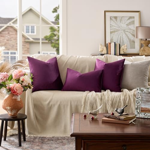 Velvet Pillow Covers 22x22 Decorative Pillows Pack of 2 Purple (Purple / 22" x 22" (Pack of 2))