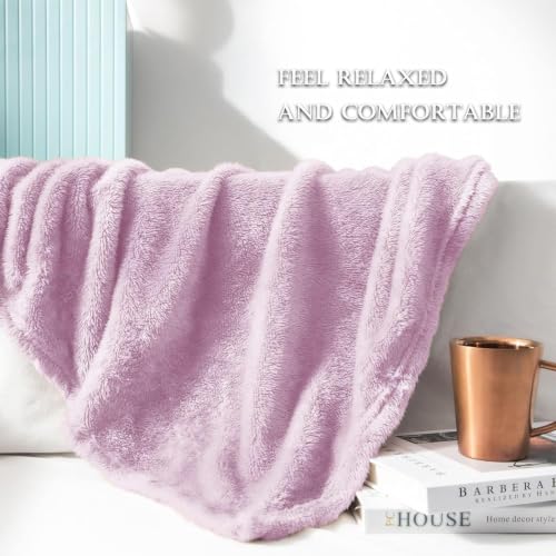 Fuzzy Large Fleece Throw Blanket for Couch (Light Purple / 50x70 IN)