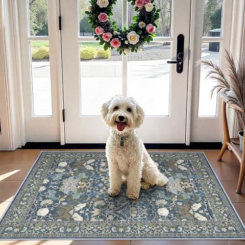 Washable 2x3 Runner Rug for Entryway (2' x 3' (Rectangular) / Floral/Blue)