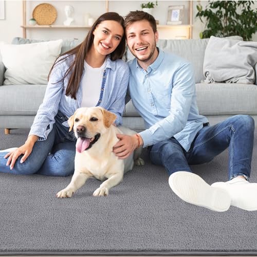 2x6 Runner Rug for Hallway (2' x 6' (Runner) / Grey)