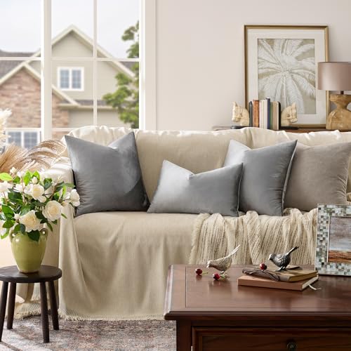 Dark Grey Velvet Throw Pillow Covers 24x24 Pack of 2 (Dark Grey / 24" x 24" (Pack of 2))