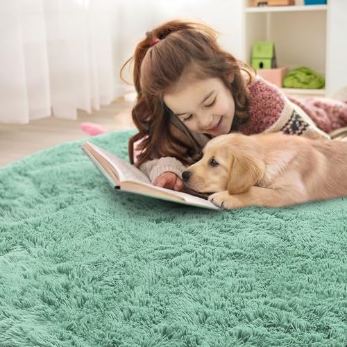 Mint Green Round Rugs for Bedroom (9 Ft Round / Mint Green)