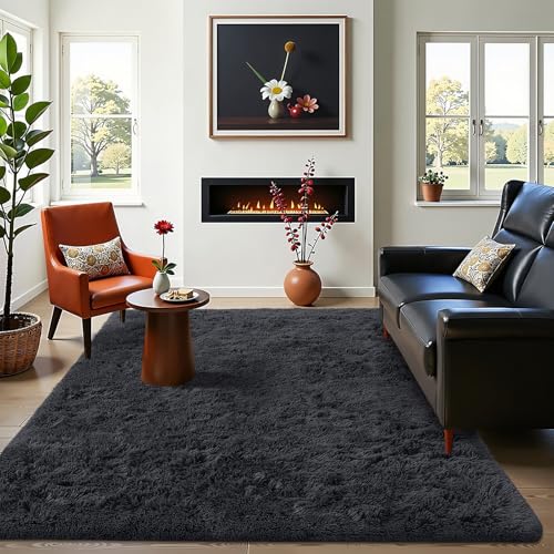4x10 Area Rugs for Living Room Bedroom (4x10 Ft / Black)