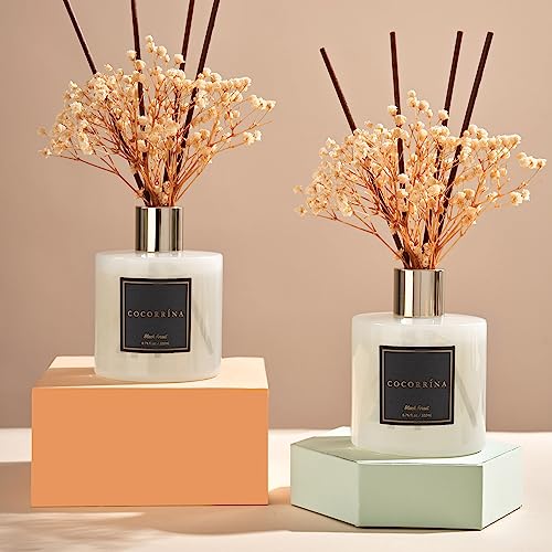 Premium Reed Diffuser Set with Preserved Baby's Breath & Cotton Stick Black Forest 2 Packs (6.7 Ounce/2pack)