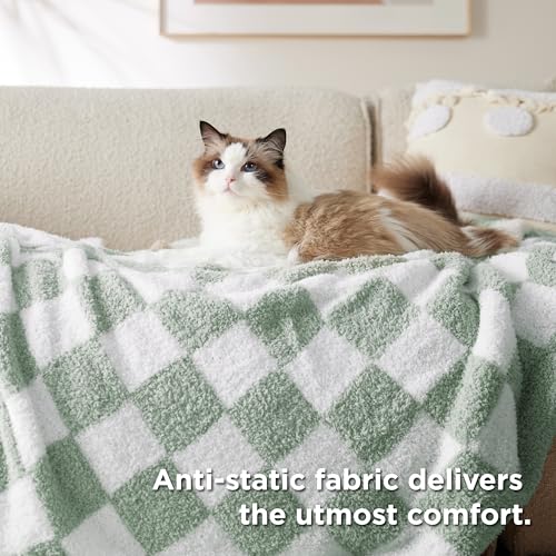 GentleSoft Checkered Throw Blanket for Couch (09 - Checkered Green / Throw (50" X 60"))