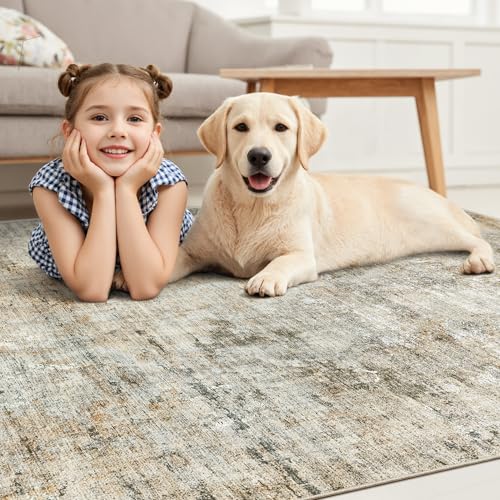 Abstract Area Rug 6x9 for Living Room Washable Rugs Orange (Orange/Brown / 6' x 9' (Rectangular))