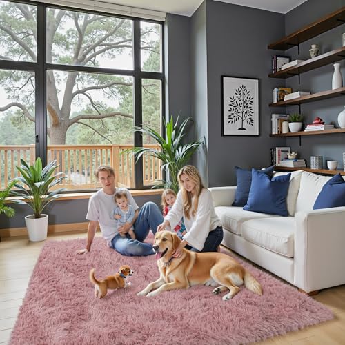 5x8 Blush Shag Area Rug for Living Room (Blush / 5' x 8' (Rectangular))