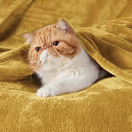 GentleSoft Twin XL Fleece Blanket Dorm Bedding (Yellow Gold / Twin XL (66" X 90"))