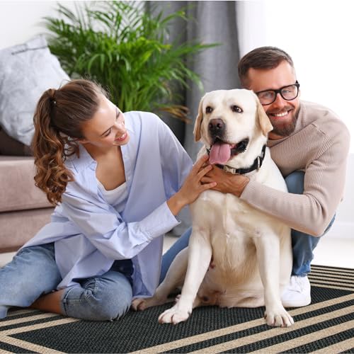 Modern Geometric Easy Jute Outdoor Rug (5' x 7' (Rectangular) / Black/Nature Border)