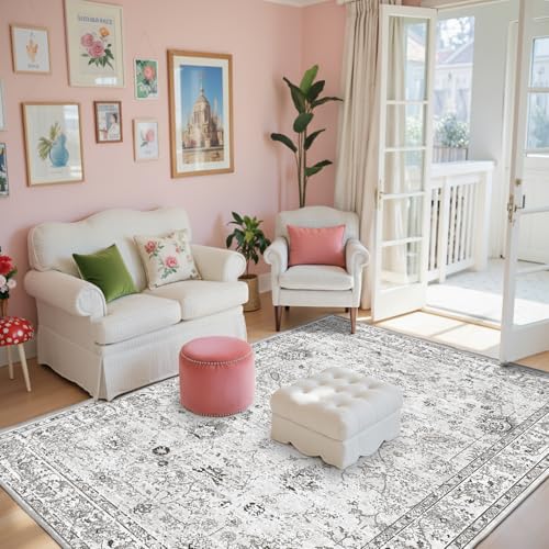 Grey Area Rug 3x5 Bedroom Rugs for Entryway Dorm (Grey/White / 3' x 5' (Rectangular))