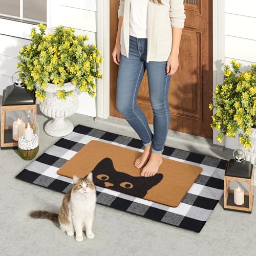 2 Pcs Fall Door Mat (Cute Cat)