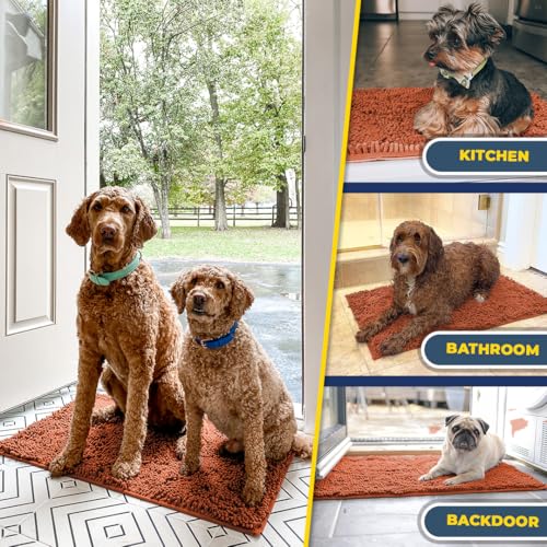 Super Water Absorbent Door Mat Indoor (Orange / 48" x 72")