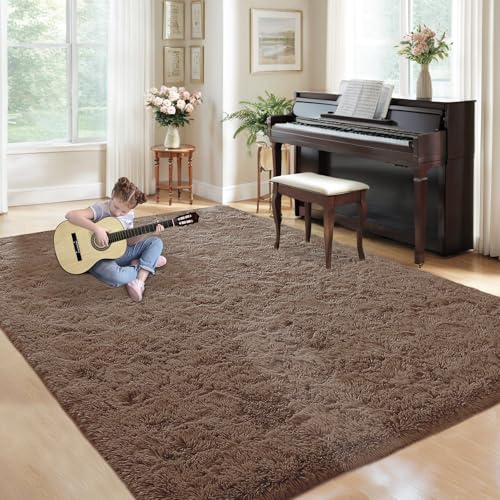 5x7 Area Rug for Living Room (Coffee / 5' x 7' (Rectangular))