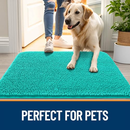 Dog Door Mat for Muddy Paws 47x32 (Teal / 47" X 32")