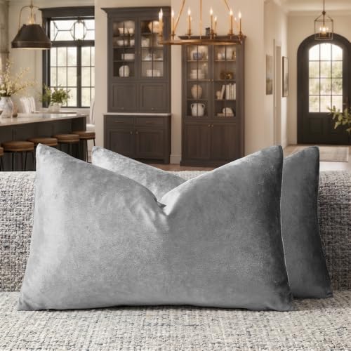 Dark Grey Velvet Throw Pillow Covers 12x20 Pack of 2 (Dark Grey / 20" x 12" (Pack of 2))