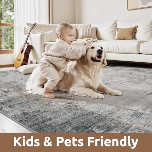 9 x 12 Area Rugs for Living Room (Grey / 9' x 12')