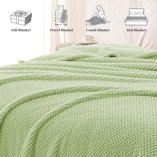 Extra Large Soft Fleece Throw Blanket for Couch (Light Green / Throw(50x70 In))