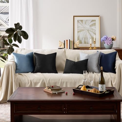 Black Velvet Pillow Covers 24x24 Decorative Pillows Pack of 2 (Black / 24" x 24" (Pack of 2))
