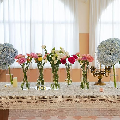 7pcs Glass Cylinder Vases for Centerpieces (7pcs 10"tall vases)
