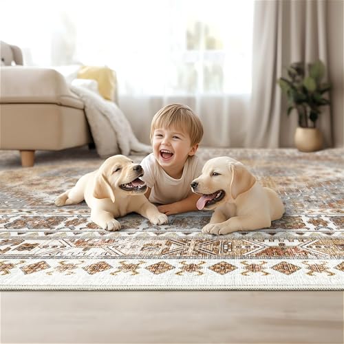 Area Rugs 5x7 Washable Rugs for Living Room (Orange / 5' x 7' (Rectangular))
