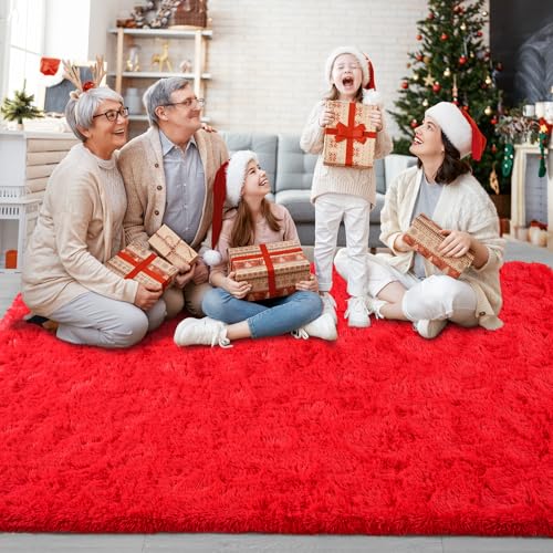 Soft Area Rugs for Bedroom Living Room Plush Fluffy Rug 4x6 (Red / 4' x 6' (Rectangular))