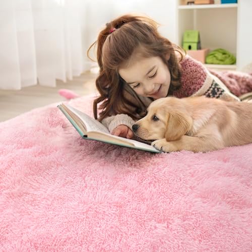 Pink Round Rugs for Bedroom (7 Ft Round / Pink)