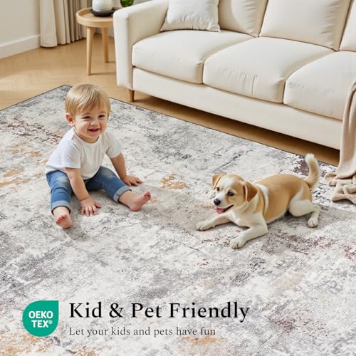 5x7 Area Rugs for Living Room (Sandstone Beige Grey / 5' x 7' (Rectangular))