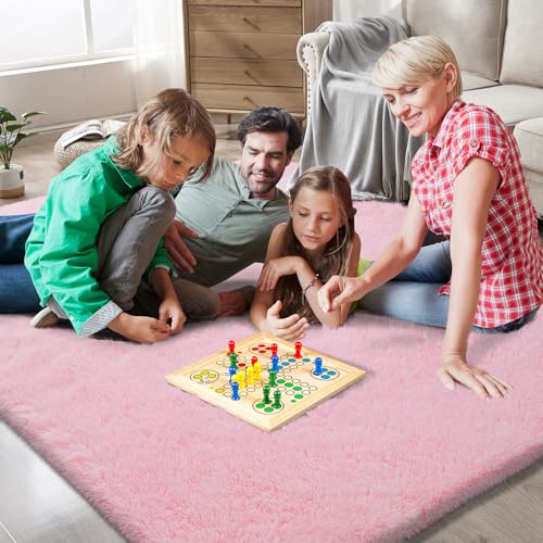 Shag Area Rugs for Bedroom Living Room