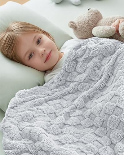 Plush Checkered Fleece Blanket Cool Grey Twin (Cool Grey / Twin)
