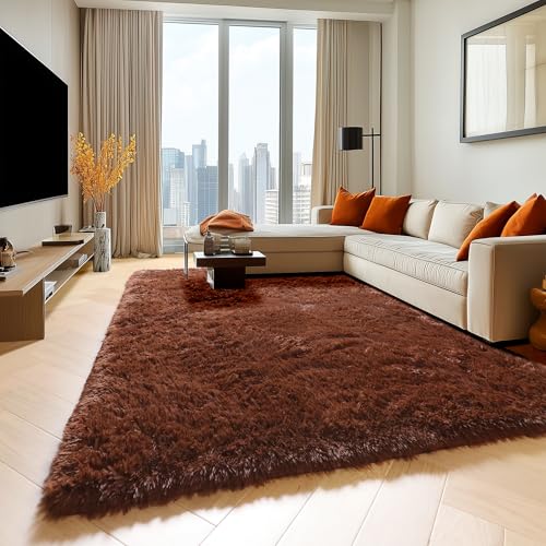 Brown 6x9 Area Rugs for Living Room Bedroom (Brown / 6' x 9' (Rectangular))