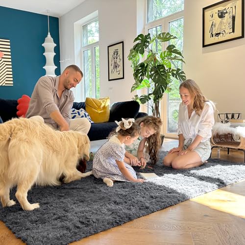 Area Rugs for Living Room Bedroom (4x5.9 Ft / Grey)