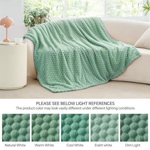 Mint Green Throw Blanket for Couch (Mint Green / Throw(50"x60"))