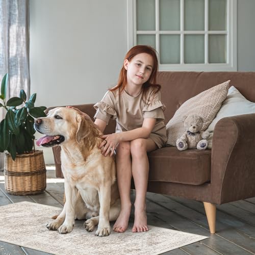 2x5 Washable Runner Rug (Ivory/Beige / 2x5)