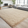 Soft Area Rugs for Bedroom Living Room Plush Fluffy Rug 3x5 Feet (Camel / 3' x 5' (Rectangular))