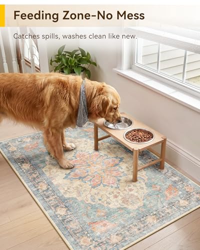 Washable Area Rug (Blue/Orange/Red / 2' x 3' (Rectangular))