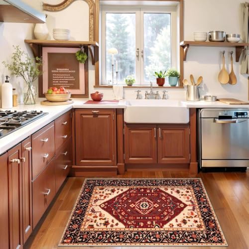 2x3 Washable Non Slip Boho Small Area Rug for Entryway (Red Black/Multi / 2' x 3' (Rectangular))