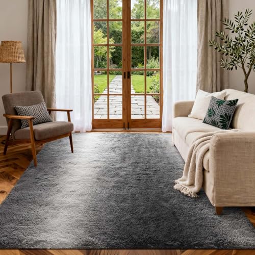 Area Rugs for Living Room (Fa Grey 4sm01 / 5' X 7' (Rectangular))