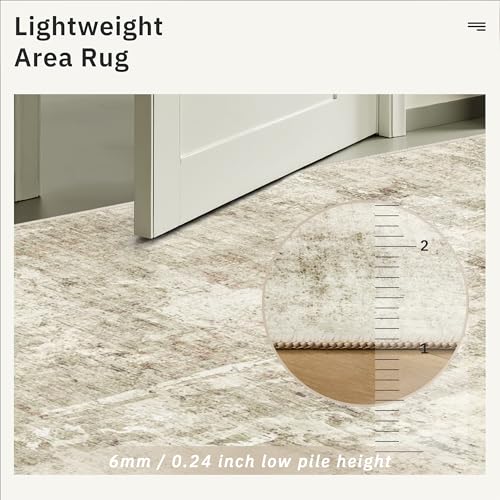 Abstract 3x5 Rugs (Beige/Gray / 3' x 5' (Rectangular))