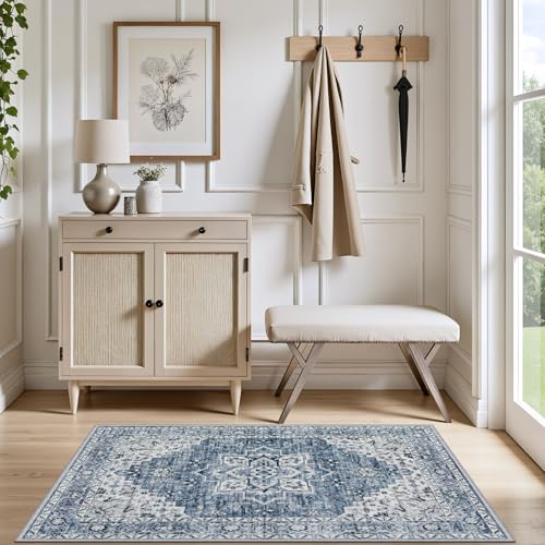 2x3 Area Rugs Living Room (Blue / 2' x 3' (Rectangular))