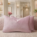 Sweet Lilac Velvet Throw Pillow Covers 12x20 Pack of 2 (Sweet Lilac / 20" x 12" (Pack of 2))