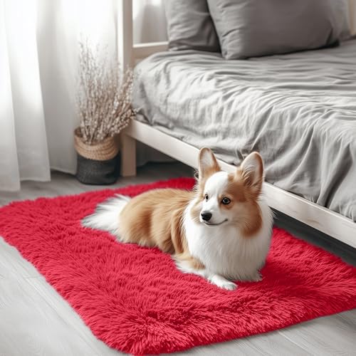 2x3 Machine Washable Small Bedside Rug (2x3 Ft / Red)